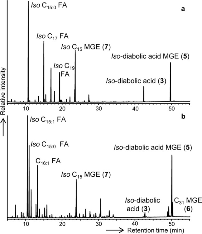 FIG 3