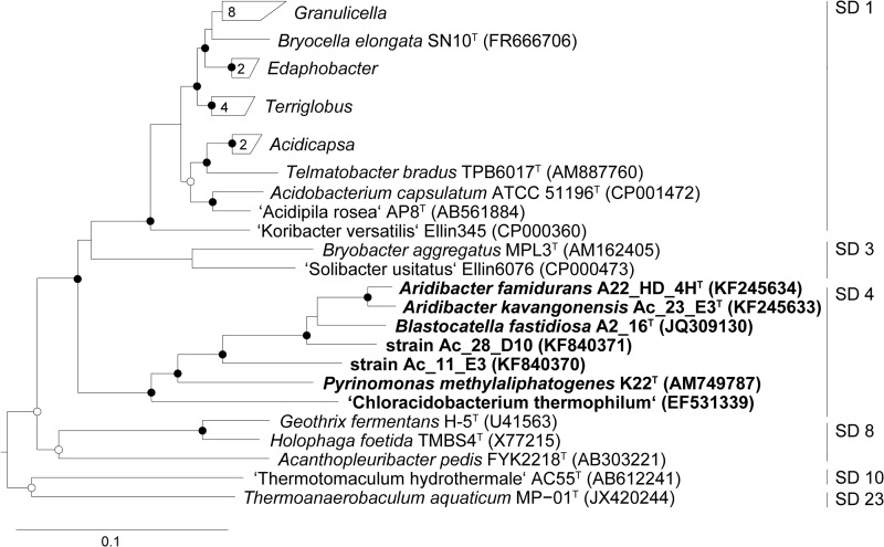 FIG 2