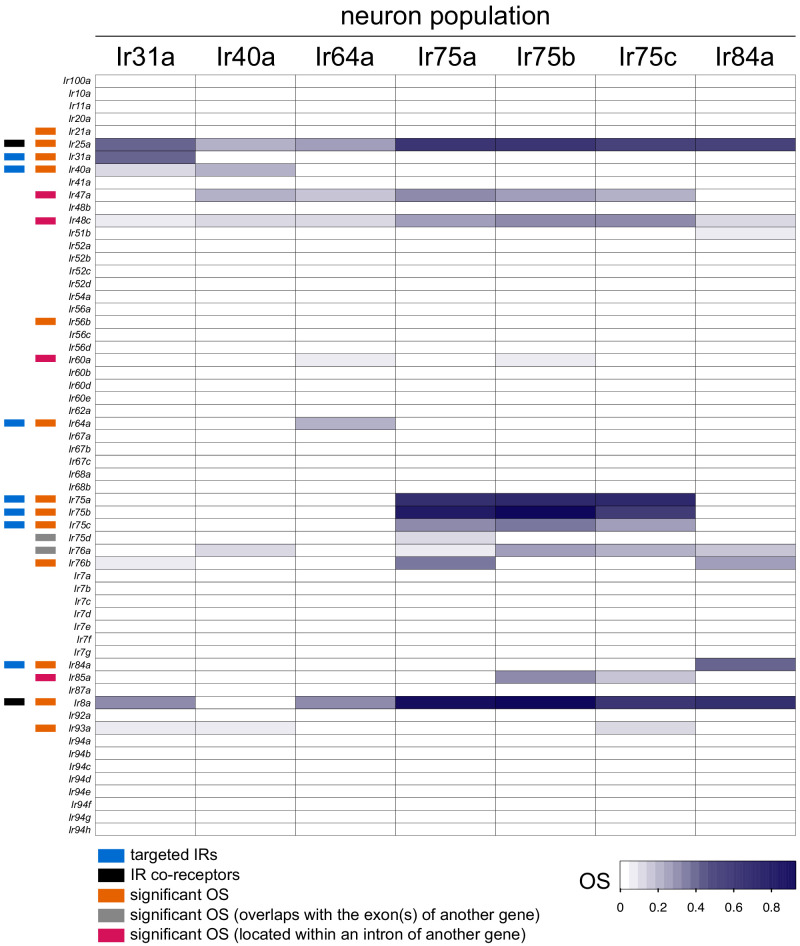 Figure 1—figure supplement 1.