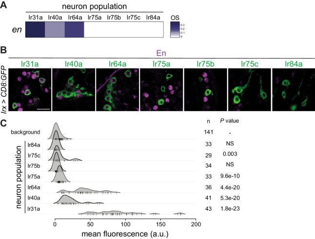 Figure 2—figure supplement 1.