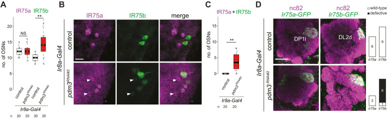 Figure 6—figure supplement 1.