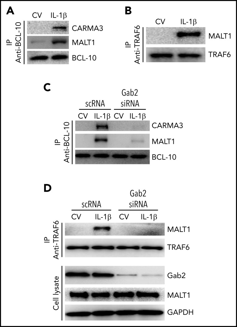 Figure 6.