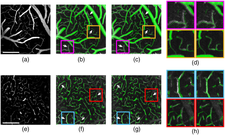 Fig. 4