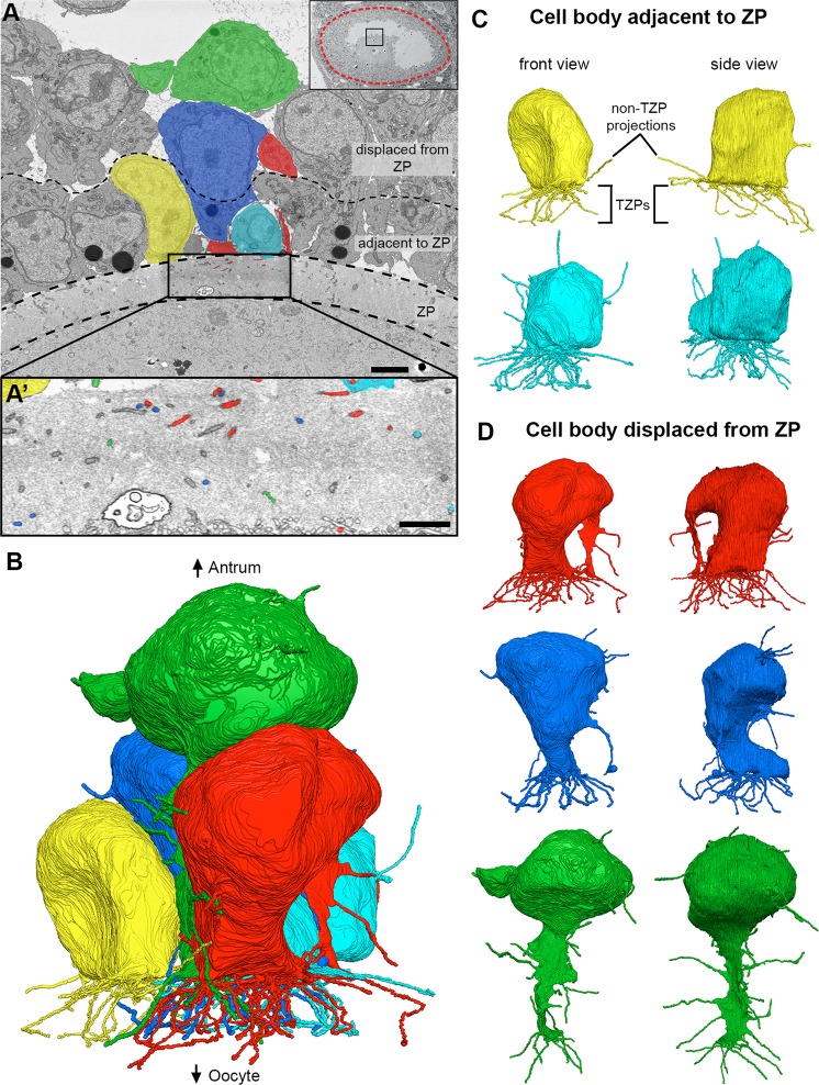 Figure 4