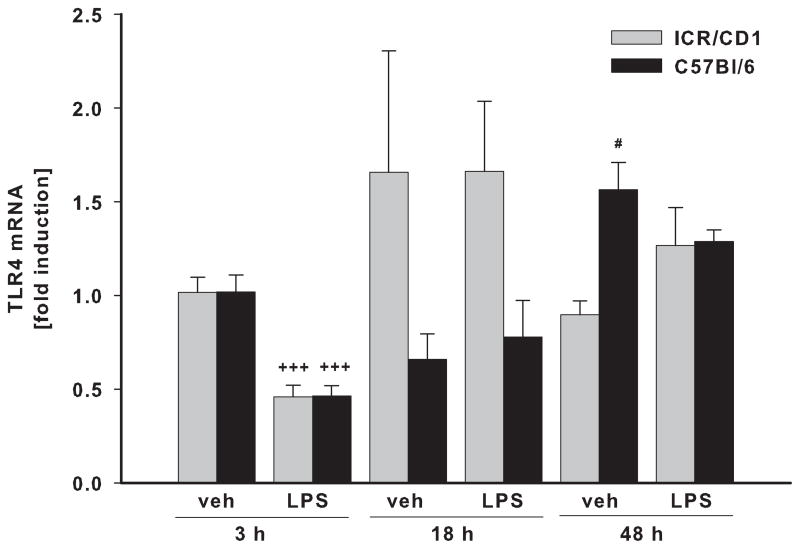 Fig 5