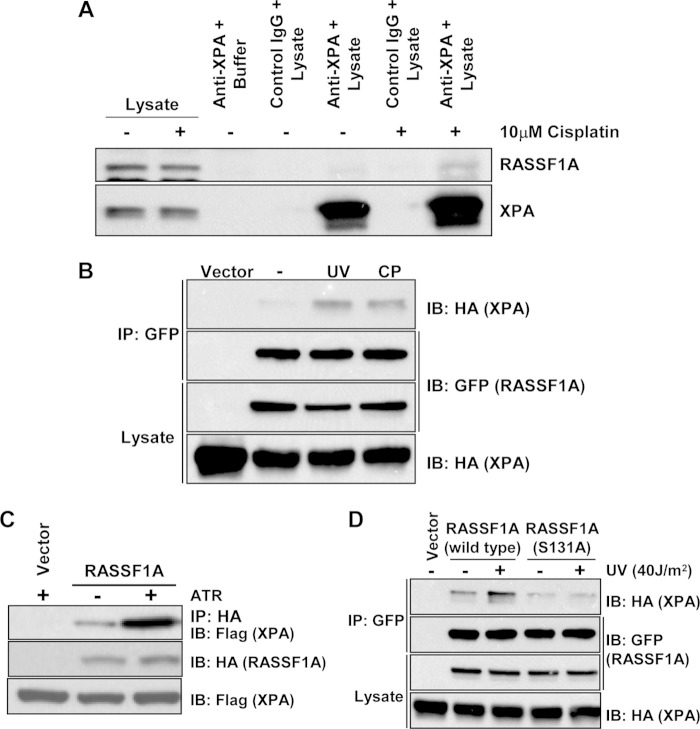 FIG 1