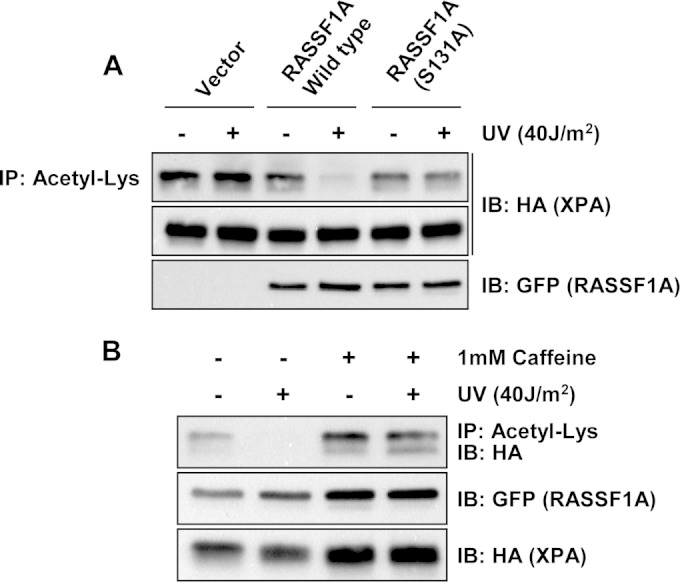 FIG 8