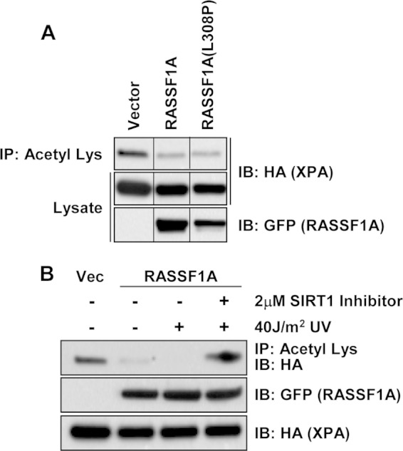 FIG 11