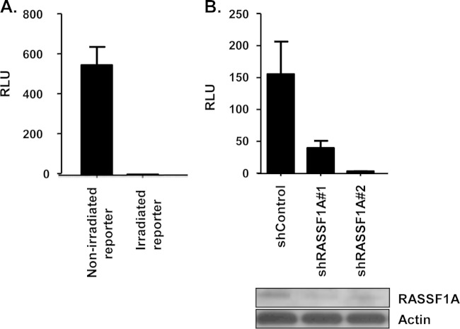 FIG 2