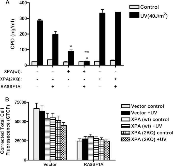 FIG 10