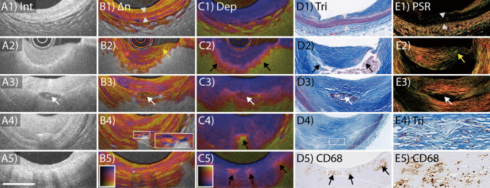 Figure 2.