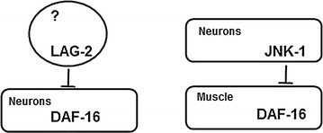 Fig. 7