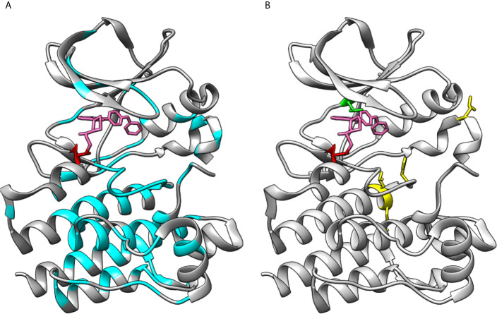 Figure 6