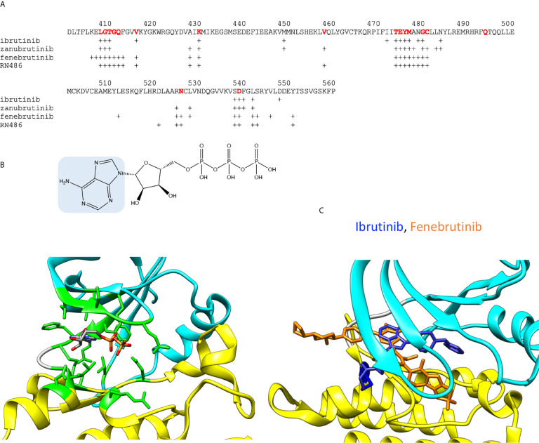 Figure 2