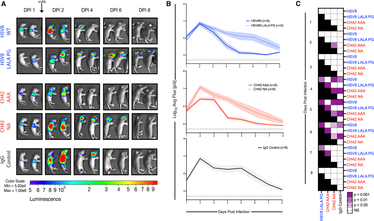 Figure 6