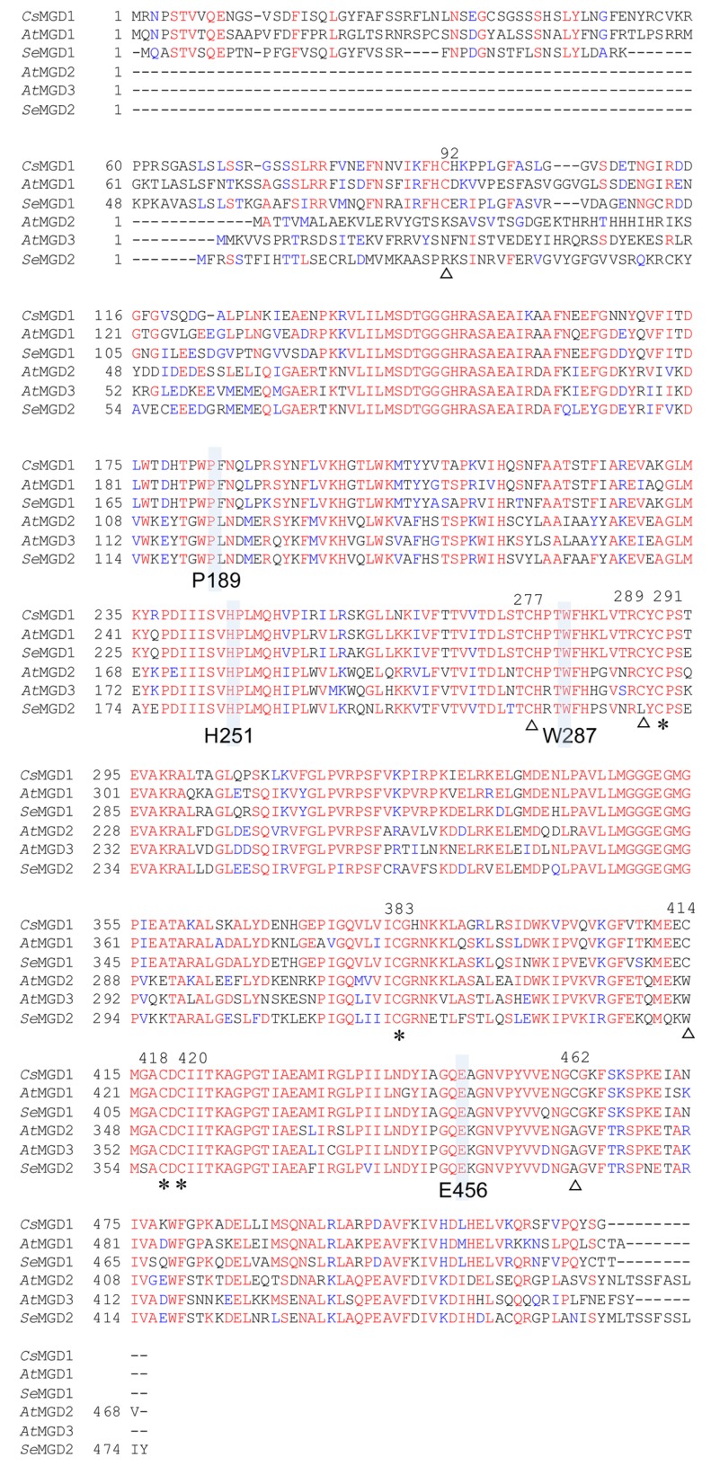 FIGURE 3