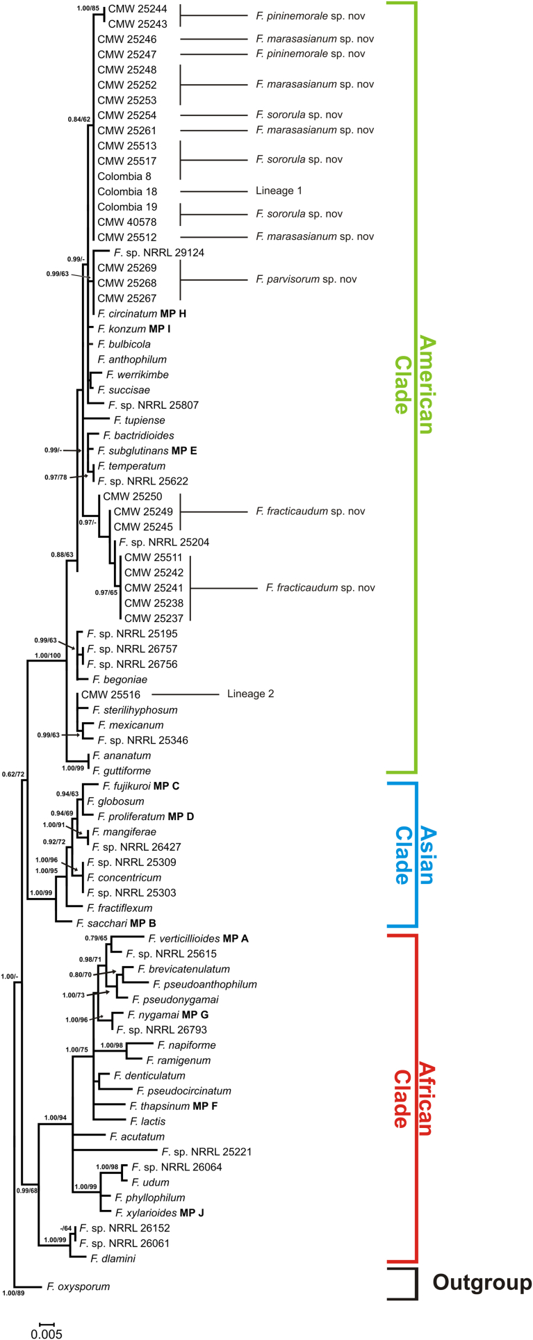 Fig. 3