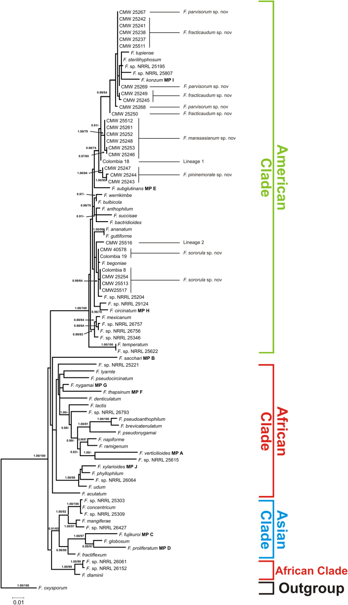 Fig. 2