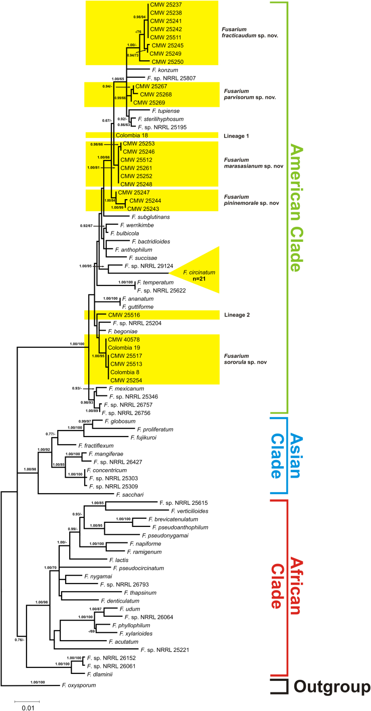 Fig. 1