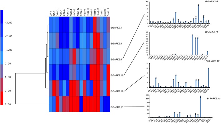 Figure 10