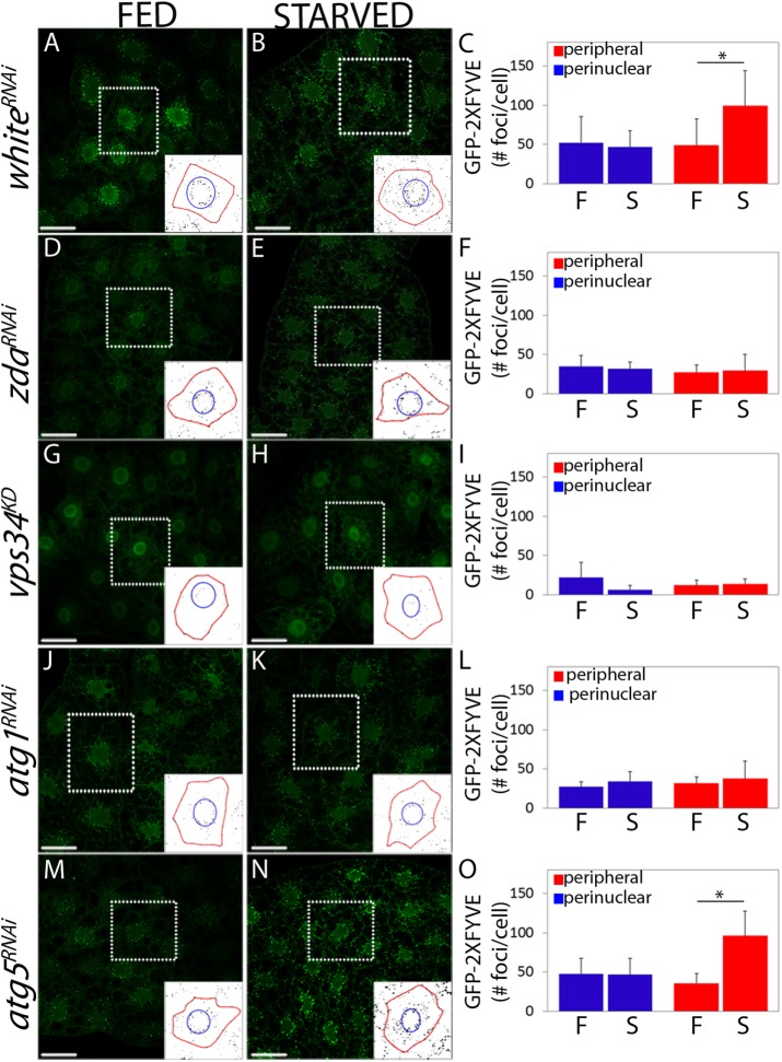 FIGURE 3: