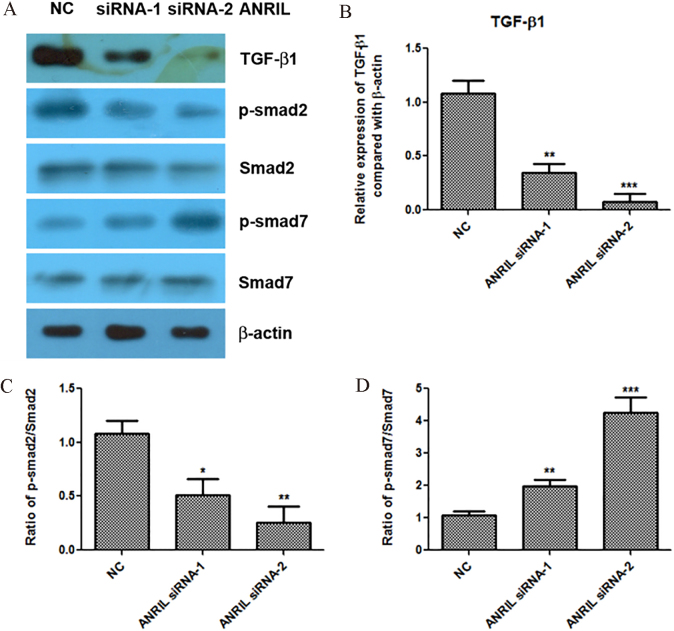 Figure 2.