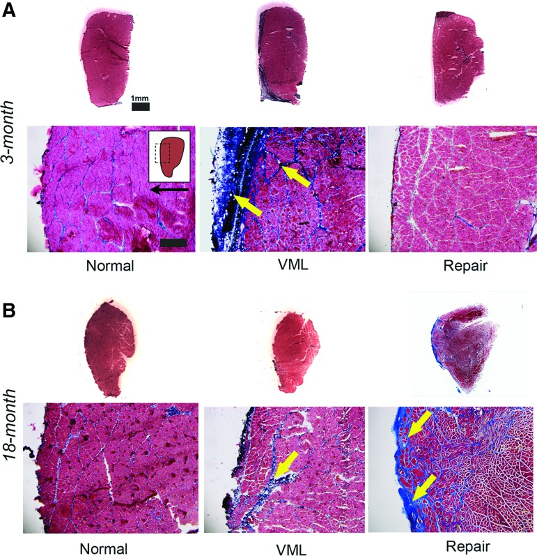 FIG. 6.