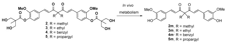 Scheme 2