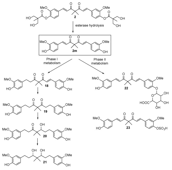 Scheme 6