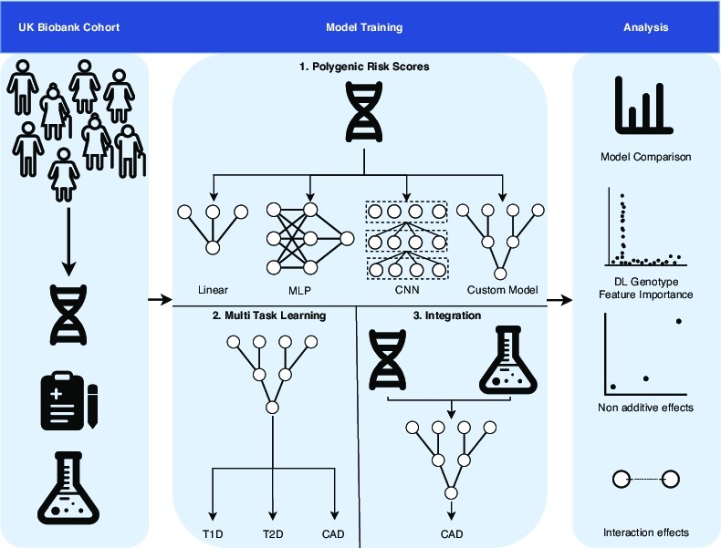 Graphical Abstract