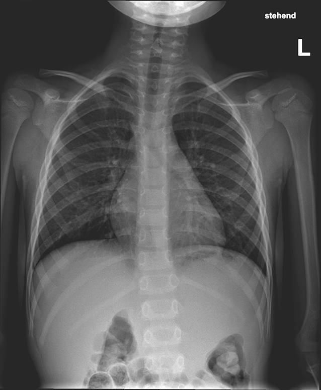 graphic file with name 106_2023_1313_Fig1_HTML.jpg