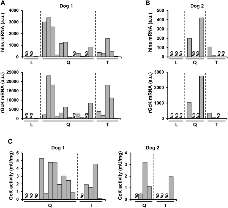 Figure 4