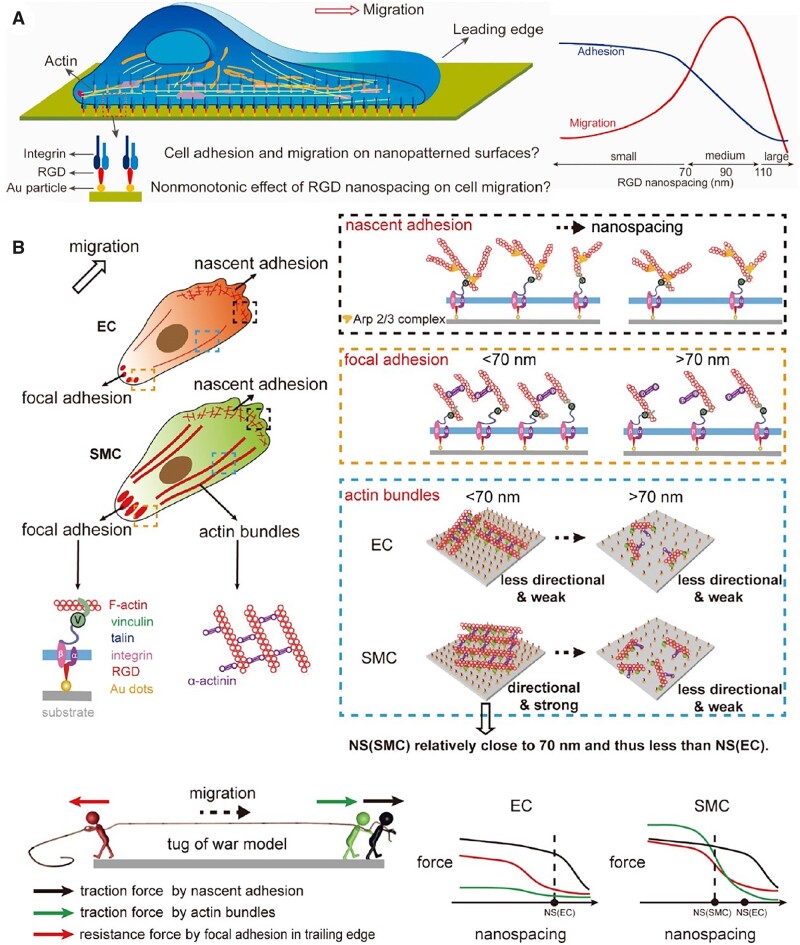 Figure 13.