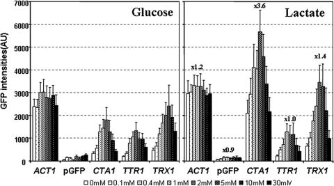 FIG. 4.