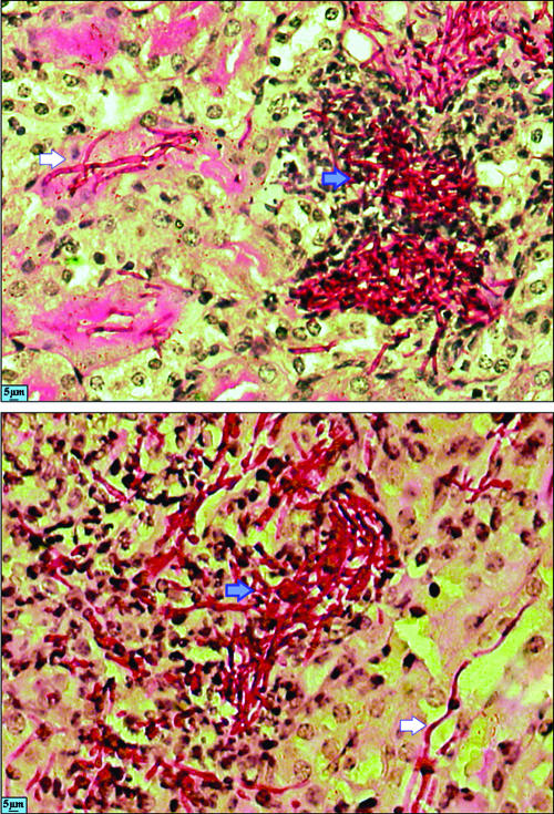 FIG. 8.