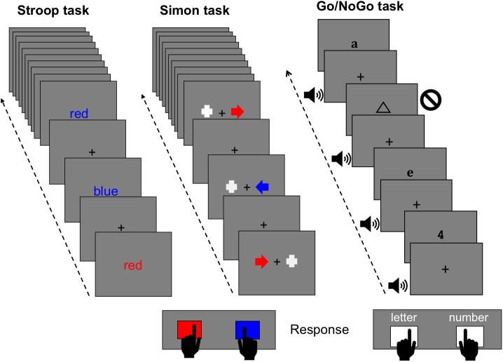 FIGURE 1