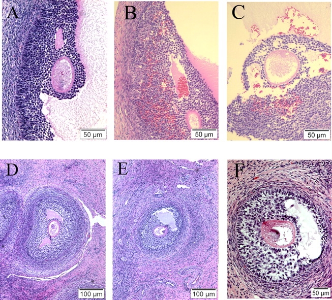 FIG. 5.