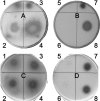 FIG. 1.