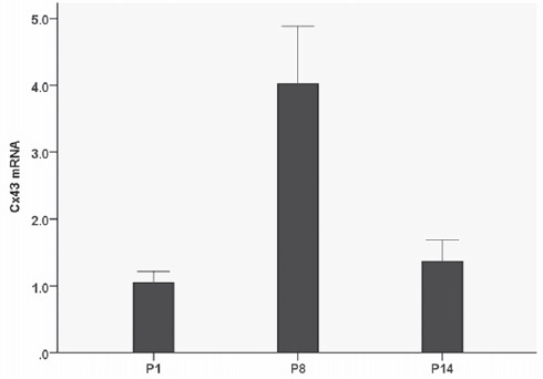 Figure 9.