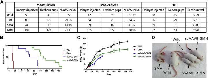 Figure 4