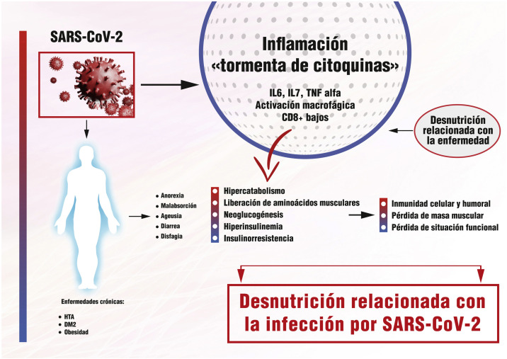 Figura 1