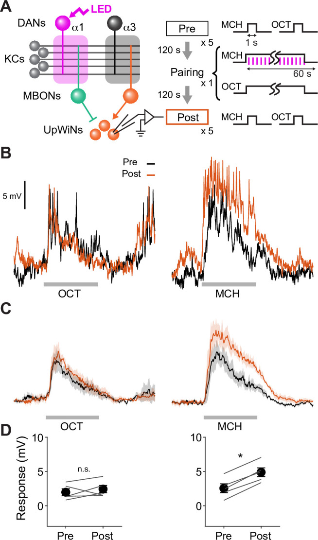 Figure 5—figure supplement 2.