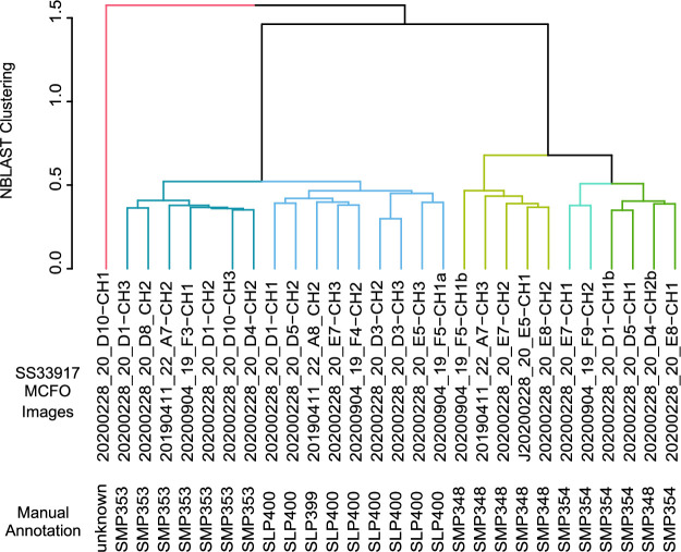 Figure 3—figure supplement 3.