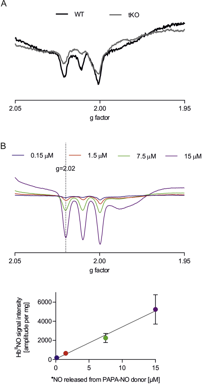 Fig. S7