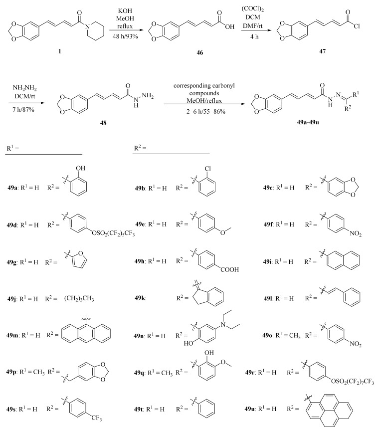 Scheme 8