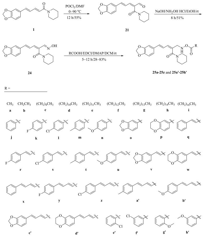 Scheme 2