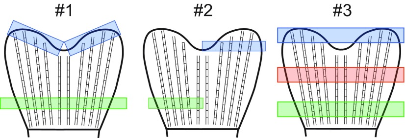 Fig. S1.