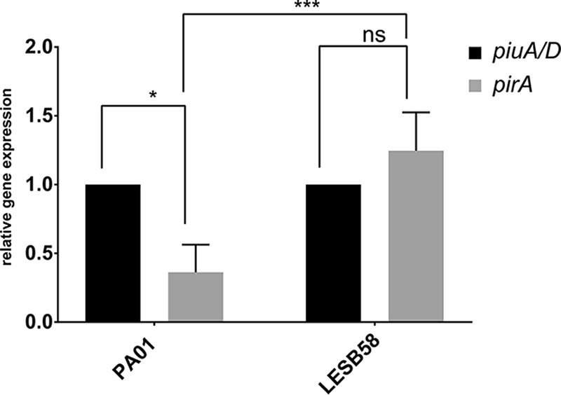 FIG 2