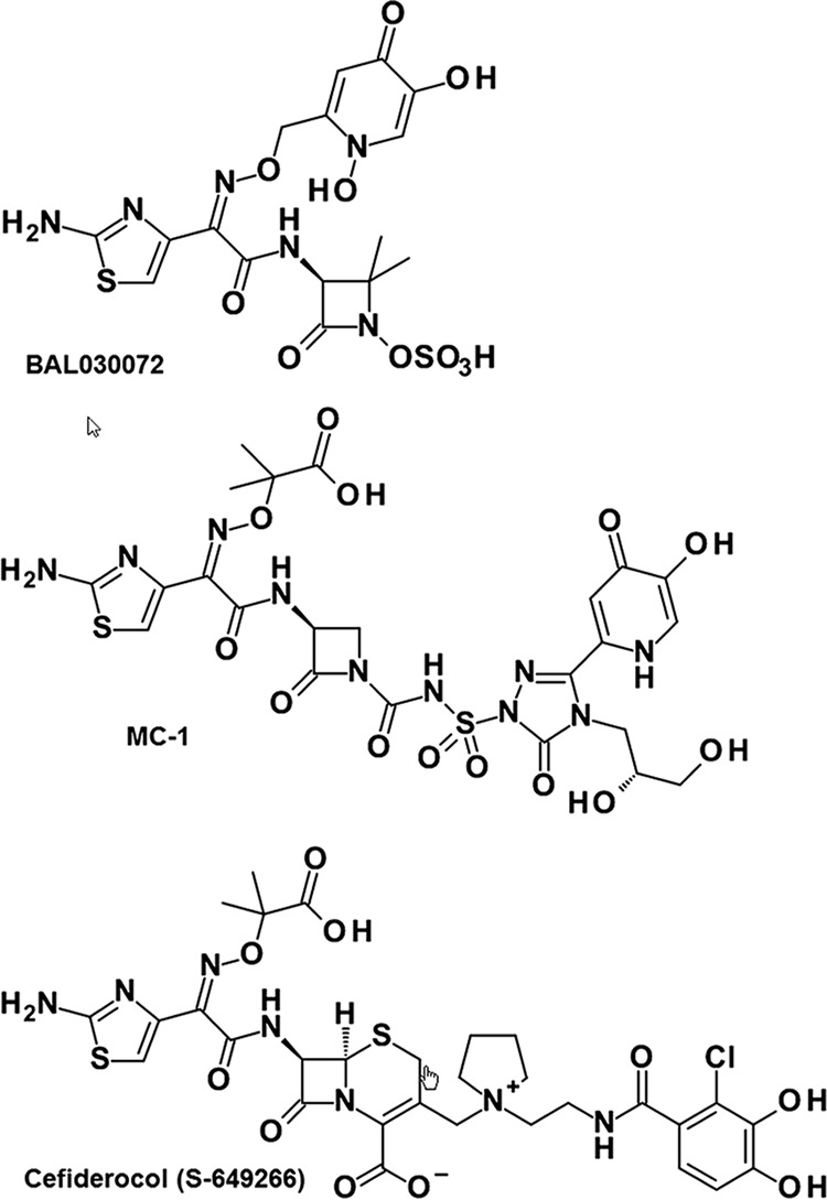 FIG 1