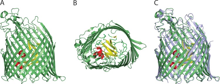 FIG 3